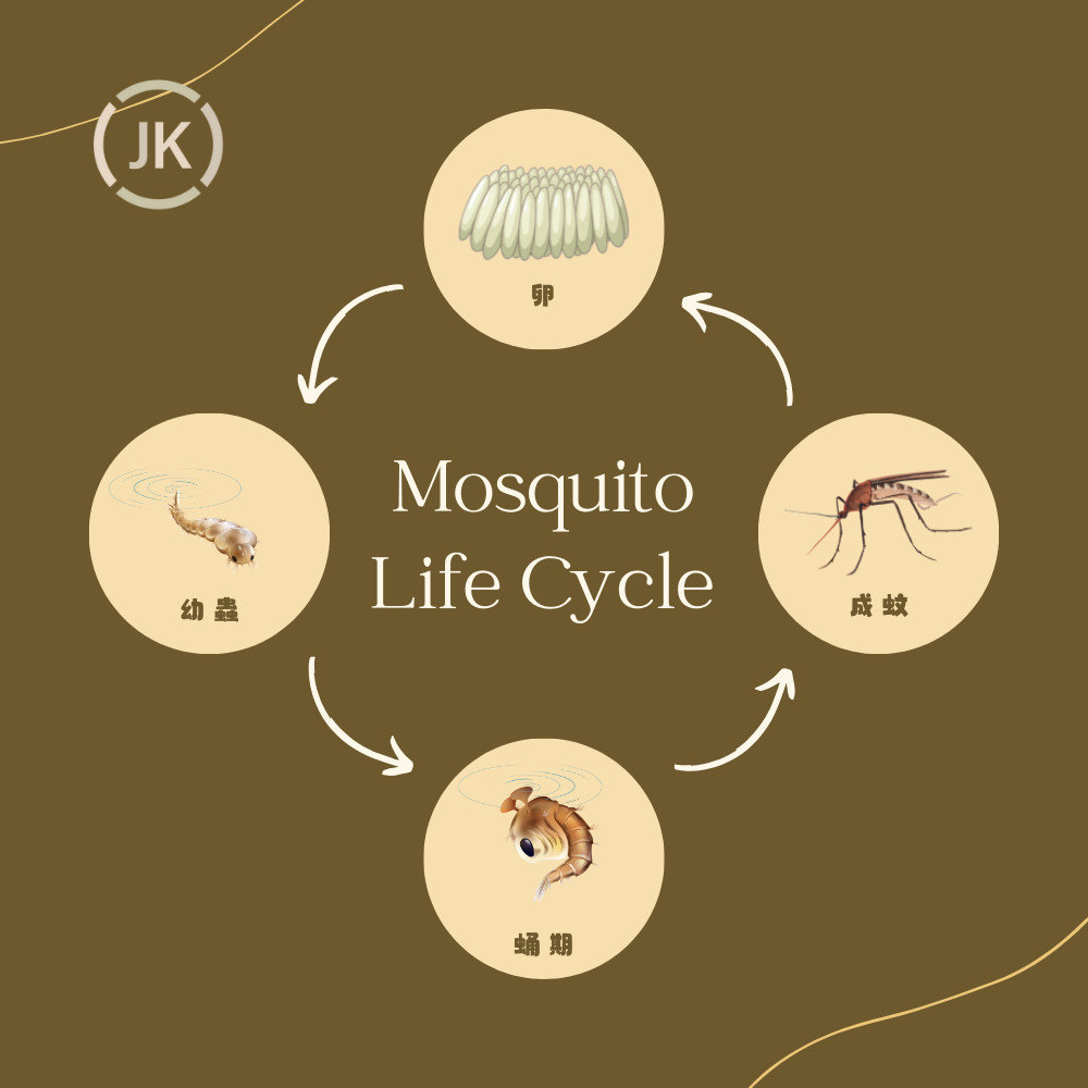 在神秘的蚊子世界中，瞭解蚊子的生命週期是有效控制和緩解蚊子危害的關鍵。揭開了蚊子從卵到成年的神秘面紗。
