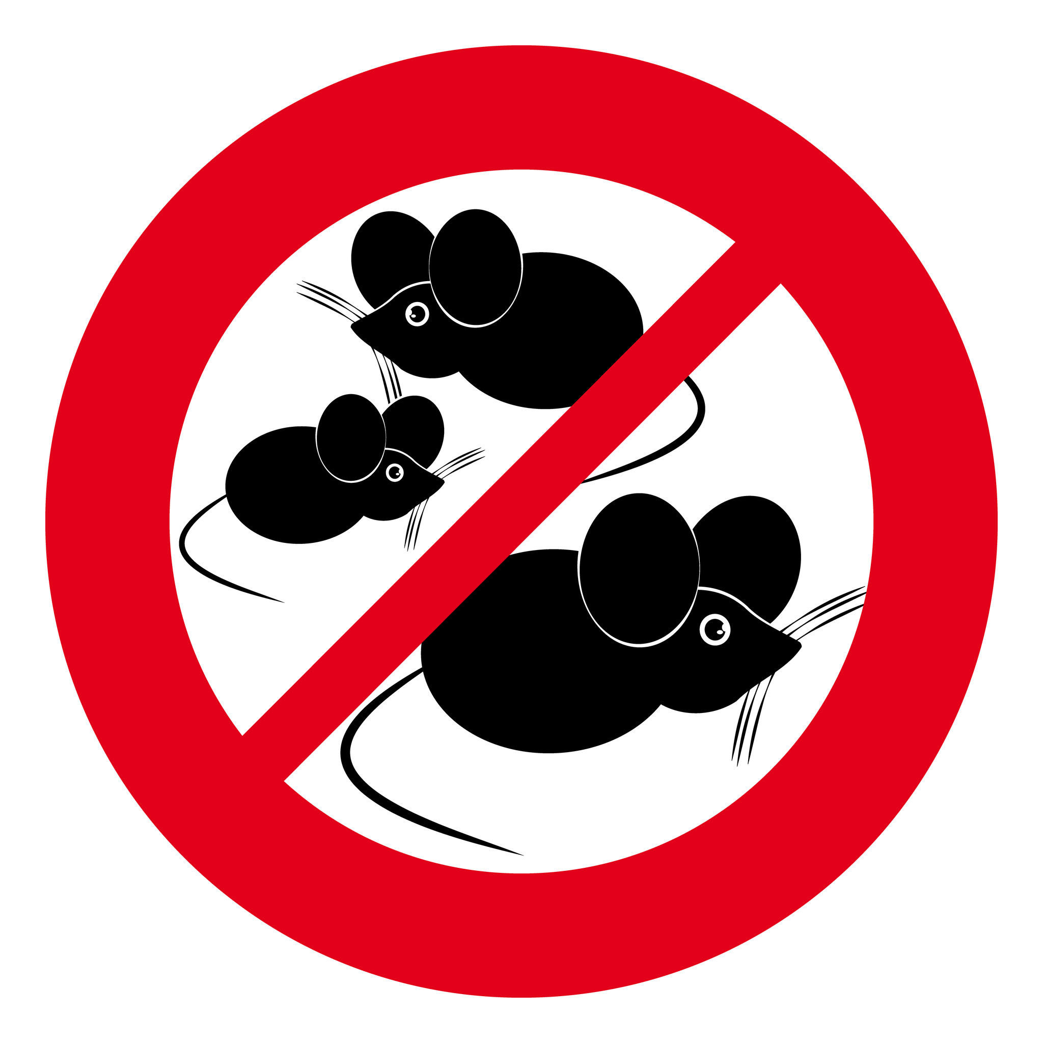 『滅鼠』老鼠防治施工實績
