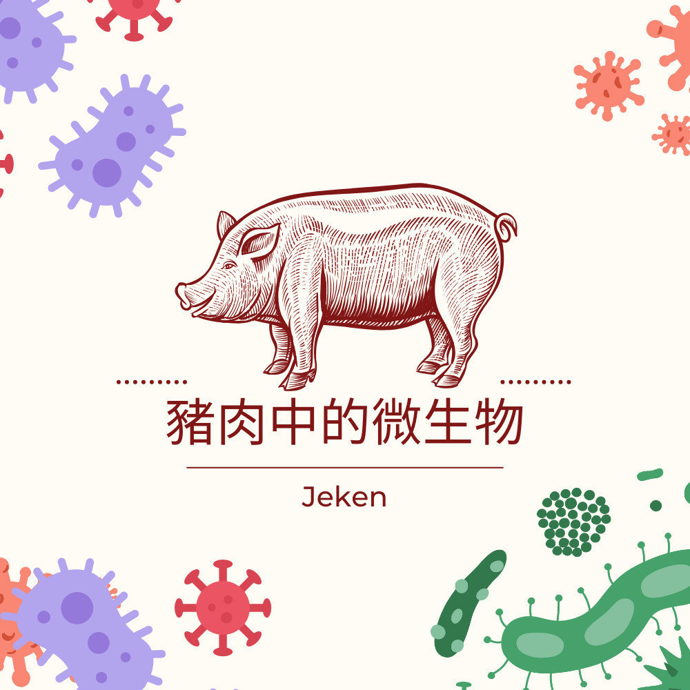 豬肉是一種營養豐富的食材，同時也是各種微生物的溫床。本文深入探討豬肉中常見的各類微生物，以及它們對烹飪的重要性，不僅僅是背景知識。