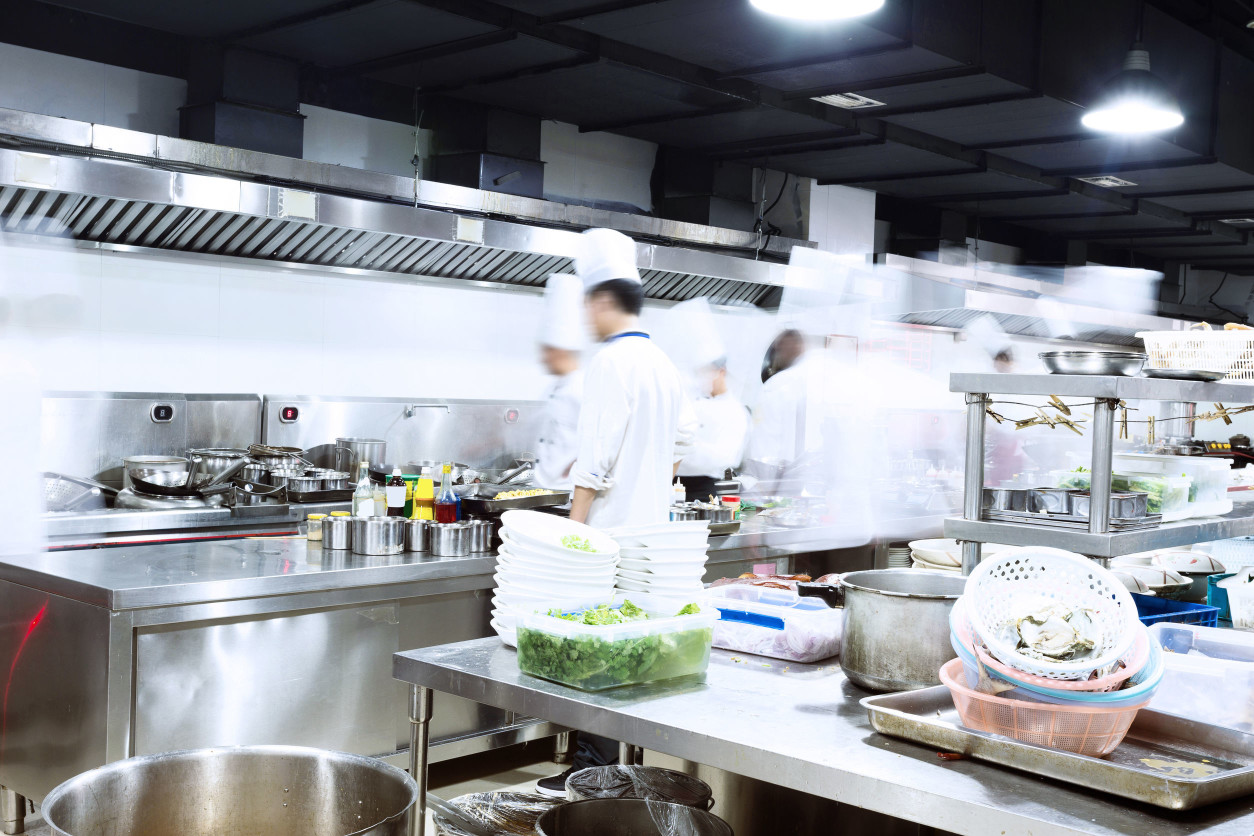 【餐飲衛生】餐廳衛生管理，如何採取方法預防老鼠和蟑螂 !