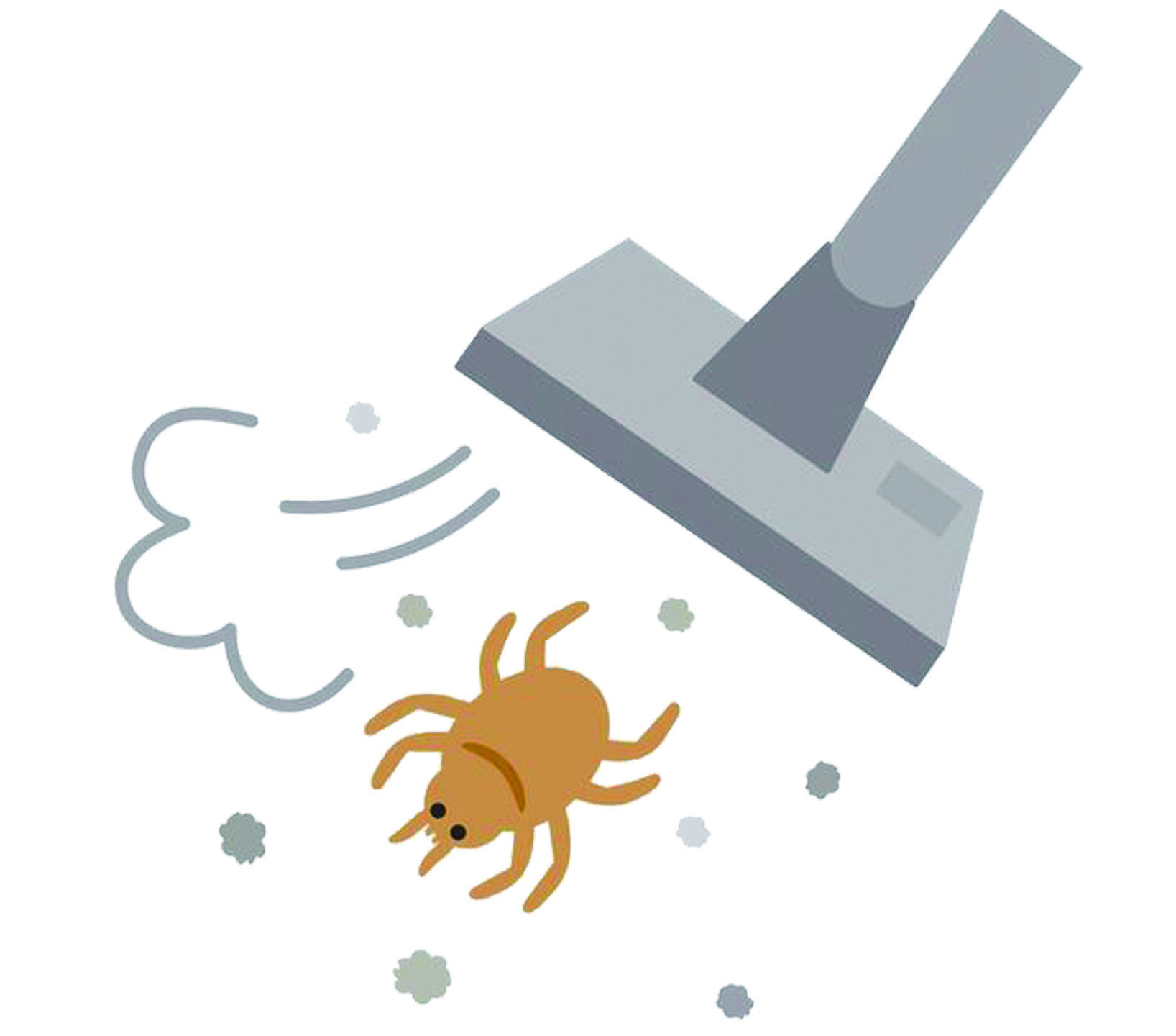 定期清掃有效減少螨類孳生，面對大部分居家害蟲最好的方式，就是降低濕度、保持環境整潔，蟎類當然也不例外。以下幾點有效減少蟎類的重點，只要穩定做到，基本上可以不用太擔心。