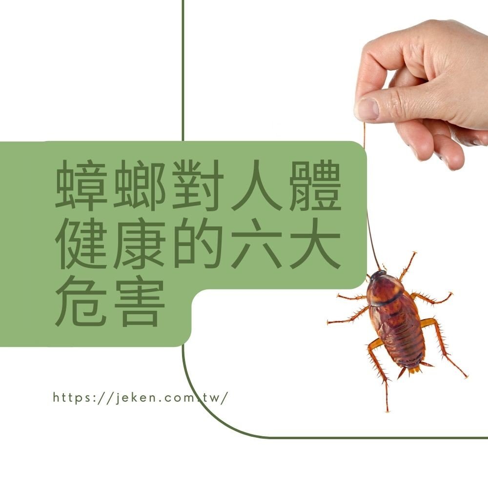 蟑螂在人類居住環境中帶來了多重威脅，涉及健康問題和生活品質，以下是蟑螂對人體健康的危害。