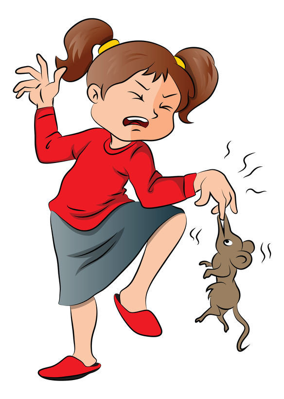 遭受老鼠咬傷,經常會造成鼠咬熱,經由老鼠口腔內存在的病原體,形成傳染.