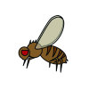 【除蚤蠅】如何預防化糞池最骯髒小蒼蠅之一「蚤蠅」