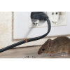 【除老鼠】家裡室內發現老鼠大便，教你如何擺脫老鼠大便的危害 !!