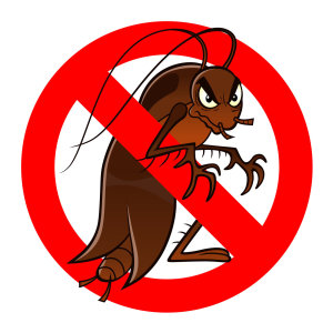 【除蟑螂】關於蟑螂生活的環境，以及有效的防治方式