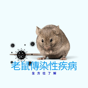 【除/滅鼠】掌握風險：老鼠傳染性疾病的全方位理解 !