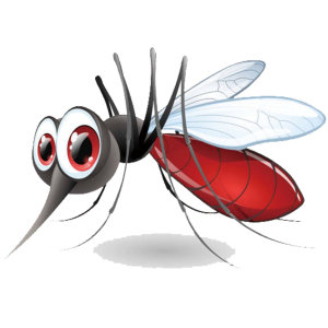 【除癭蚋】住宅難纏的潮濕蟲:癭蚋，癭蚋害蟲入侵會讓您的居家裝潢打掉重練！
