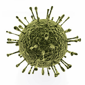 【除菌消毒】細菌和病毒到底有什麼差異 ? 讓我們來認識它 。
