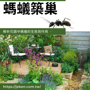 【防治項目 | 除螞蟻】螞蟻築巢：解析花園中螞蟻的生態與作用 !