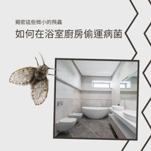 【除蛾蚋】揭密這些微小的飛蟲，如何在浴室和廚房偷運病菌 !