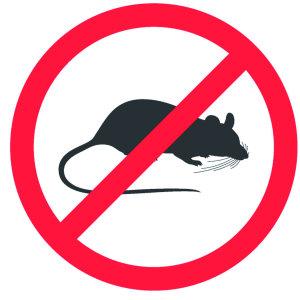 『滅鼠』老鼠造成的傳染性危害疾病