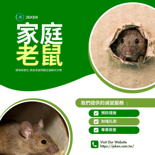 【除/滅鼠】環境衛生與安全：家庭老鼠問題的全面解決方案 !