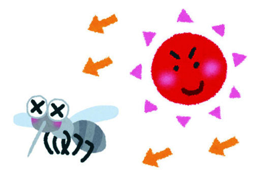 【夏季害蟲篇】炎炎夏季到來，防止擾人蚊蟲滋擾的四種有效方式。